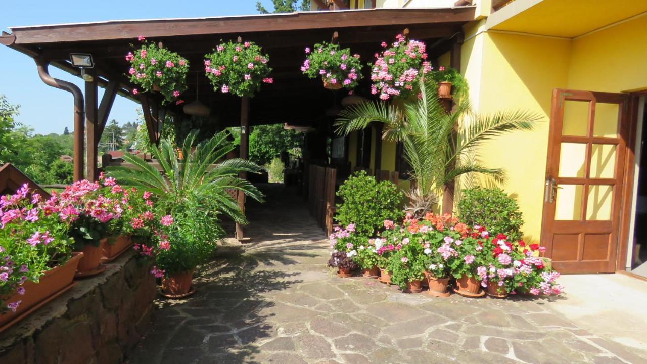 Prima Porta Vendeghaz Hotel Balatonalmádi Buitenkant foto